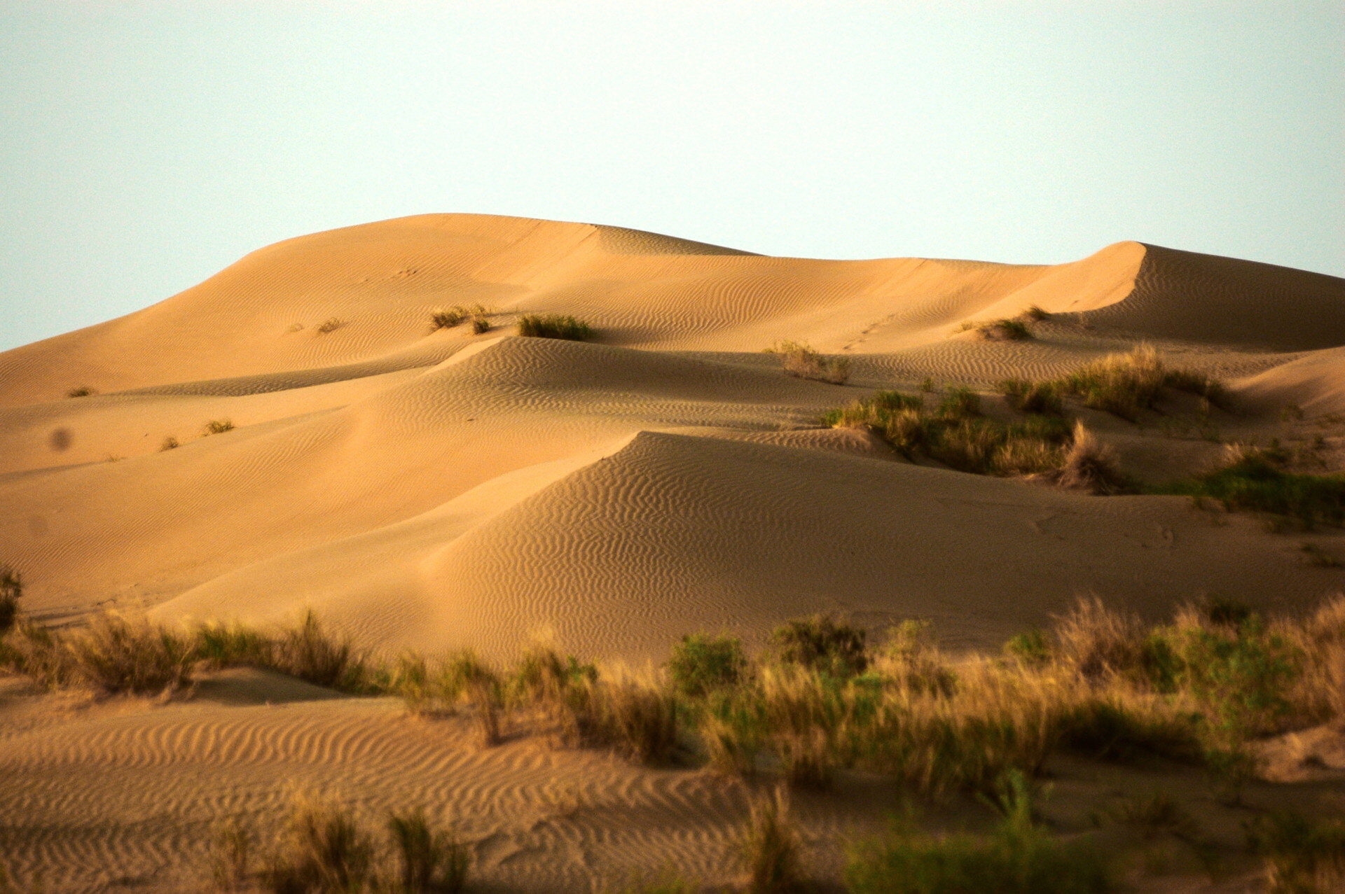 Karakum Desert